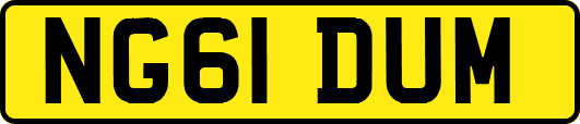 NG61DUM