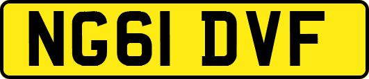 NG61DVF