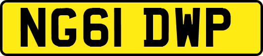 NG61DWP