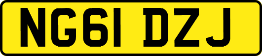 NG61DZJ