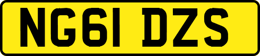 NG61DZS
