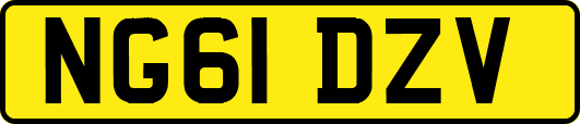 NG61DZV