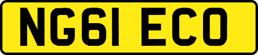 NG61ECO