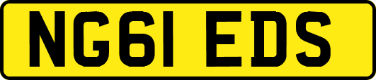 NG61EDS