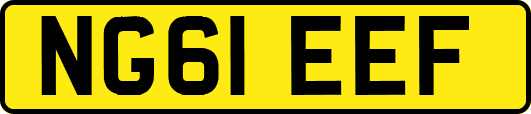 NG61EEF