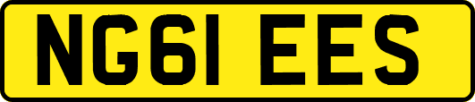 NG61EES