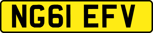 NG61EFV