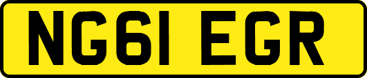 NG61EGR