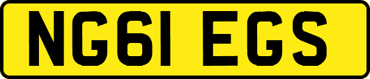 NG61EGS