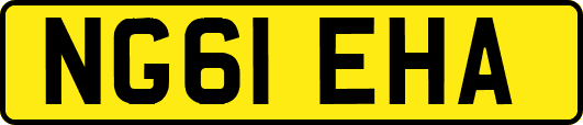 NG61EHA
