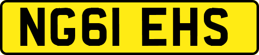 NG61EHS