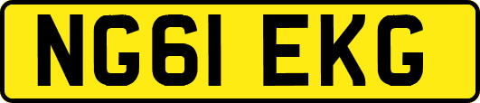 NG61EKG