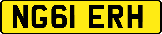 NG61ERH