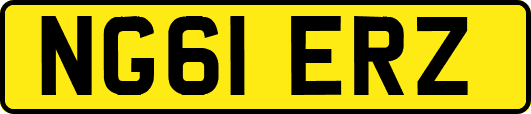 NG61ERZ