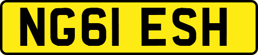 NG61ESH