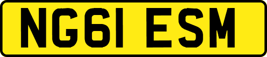 NG61ESM