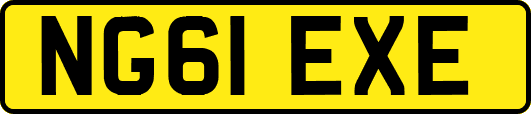 NG61EXE