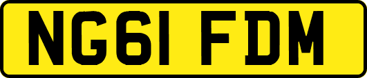 NG61FDM