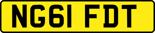 NG61FDT