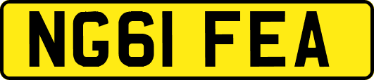NG61FEA