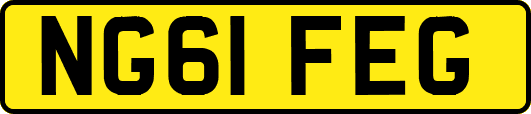 NG61FEG
