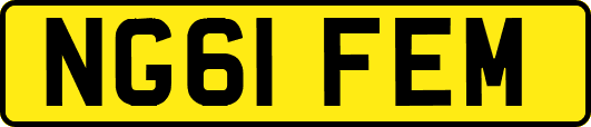 NG61FEM