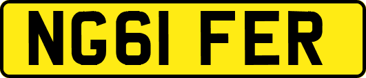 NG61FER