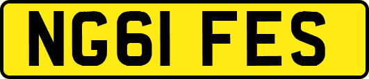 NG61FES