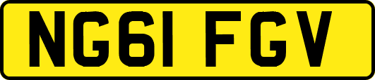 NG61FGV
