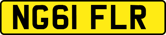 NG61FLR