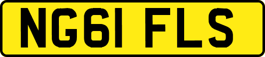 NG61FLS