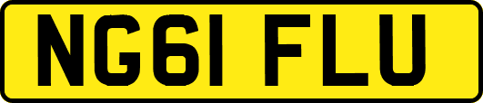 NG61FLU