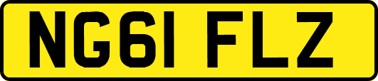 NG61FLZ