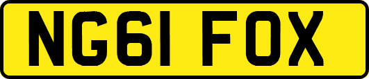 NG61FOX
