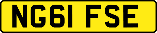 NG61FSE