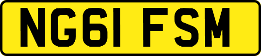 NG61FSM