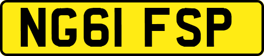 NG61FSP