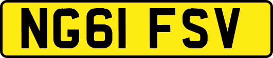 NG61FSV