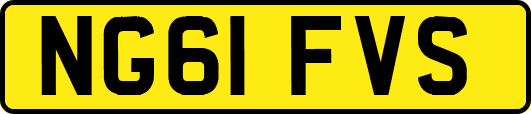NG61FVS