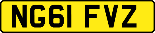 NG61FVZ
