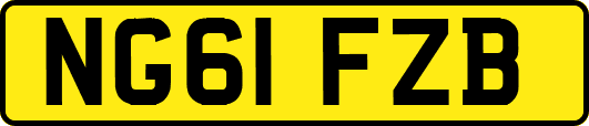 NG61FZB
