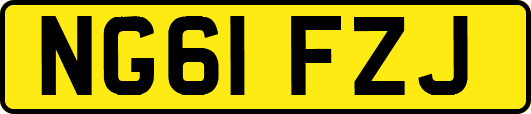 NG61FZJ