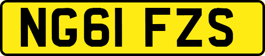 NG61FZS