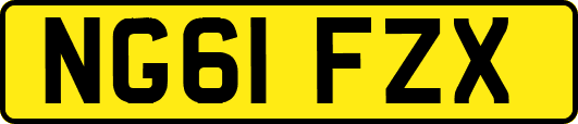 NG61FZX