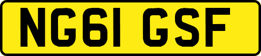 NG61GSF