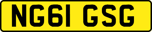 NG61GSG