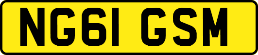 NG61GSM