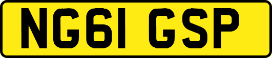 NG61GSP