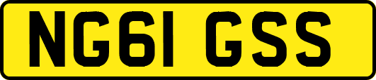 NG61GSS