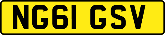 NG61GSV
